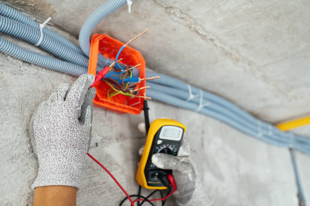 Best Electrical System Inspection  in Guntersville, AL